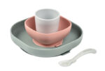 Béaba Set Repas Silicone eucalyptus - 4 Pièces +6 mois