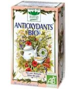 ROMON NATURE ANTIOXYDANTS 20 SACHETS