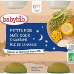 Babybio pot bonne nuit carotte butternut riz 2x200G